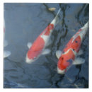 Recherche de koi carpe carreaux Horizontal