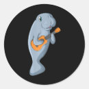 Search for ukulele guitar stickers Cute