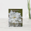 Search for silkies cards Photography