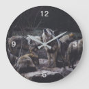 Search for wolf clocks Wildlife