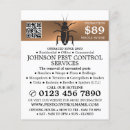 Search for cockroach Pest control