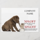 Search for cat sitter flyers Veterinarian