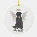 Search for black labrador memorial gifts Rainbow bridge