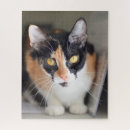 Recherche de yeux puzzles Jolie