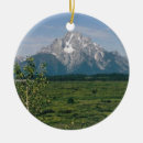 Search for wyoming ornaments Mountains