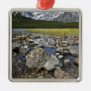Search for creek ornaments Snow
