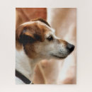 Recherche de chien puzzles Terrier