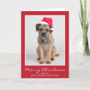 Search for border terrier christmas cards Animal