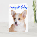 Search for corgi puppy birthday cards Puppies