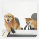 Search for two dogs stickers Humour