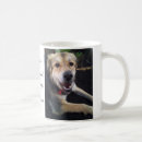 Recherche de chien chanceux tasses Chiens