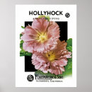 Recherche de hollyhock posters Flore