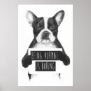 Search for boring posters Funny