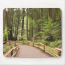Recherche de monument national tapis souris Forêt