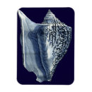 Recherche de coquille de mer magnets Indigo