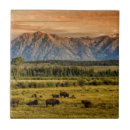 Recherche de bison carreaux Nature