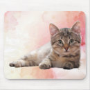 Recherche de chat gris blanc tapis souris Chaton