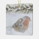 Search for robin bird ornaments Elegant