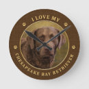 Search for bay clocks Dogs