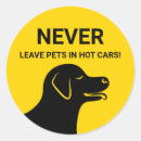 Search for yellow head stickers Animal