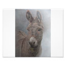 Recherche de ânes posters Mignon