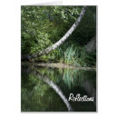 Search for lake reflection Forest