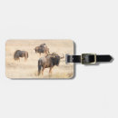Search for wildebeests accessories Safari