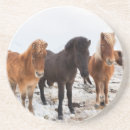 Recherche de cheval islandais dessous de verres Superstock