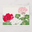 Search for geranium postcards Floral