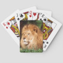 Search for adult playing cards Danita delimont