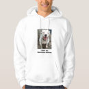 Search for american bulldog Dogs