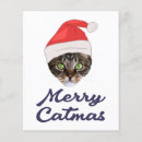Recherche de business marketing hats Père noël