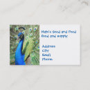 Search for pea fowl Bird
