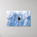 Search for orbiter photography Clouds