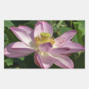 Search for floral lotus stickers Flower