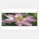 Search for summer lilies stickers Nature