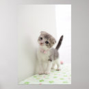 Search for fold posters Pet