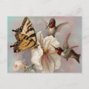 Search for two birds postcards Floral