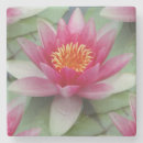 Recherche de lotus dessous de verres Spiritualité