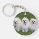 Recherche de spitz porteclés Plomb et pam langrish