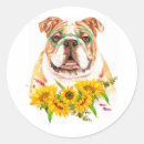 Recherche de hipster dog stickers Bulldog