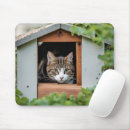 Recherche de chat maison tapis souris Chaton