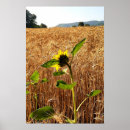 Recherche de beauté unique posters Nature