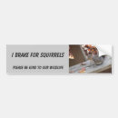 Search for squirrel bumper stickers I brake for squirrels
