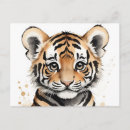 Recherche de visage tigre cartes postales Animal