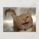 Recherche de happy cartes postales Drôle
