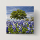 Search for bluebonnet buttons Scenic
