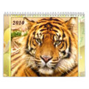 Search for lion calendars Animals