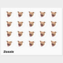 Search for photo bottle stickers Laptop