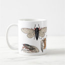 Search for cicada mugs Vintage